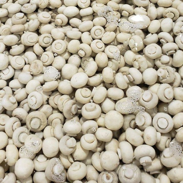 China Export High Quality And Good Price OEM/ODM Available 2500G Ready To Eat Canned Whole Oyster Mushroom - Image 4