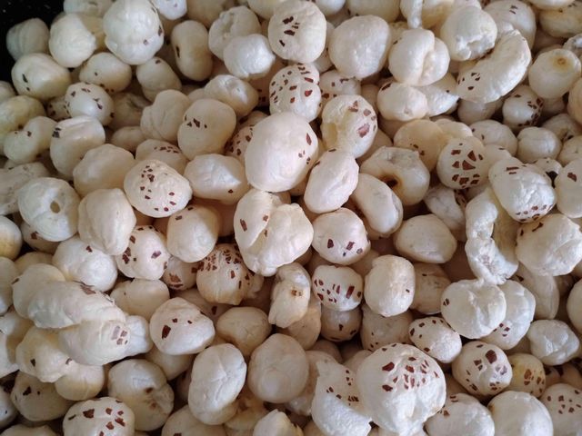 Raw Makhana (Fox Nuts) - Image 4