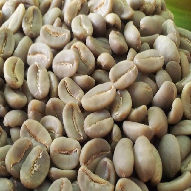 PREMIUM UNROASTED GREEN ARABICA COLUMBIAN COFFEE BEANS 25Kg,60Kg BAGS ON SALE/RICH AROMATIC PROFILE WASHED GREEN ARABICA COFFEE BEANS EU SUPPLY - Image 1
