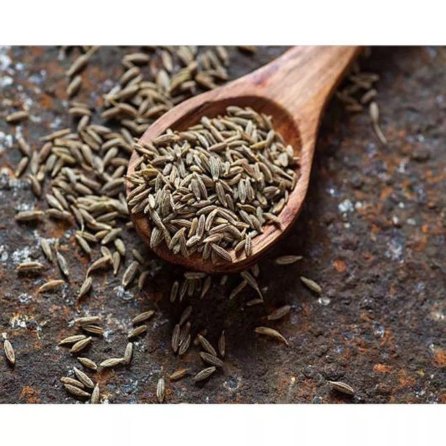 Wholesale High Quality Dried Jeera Cumin Seeds 100% Purity Machine Cleaned India Origin Agriculture Products Pure Natural Wholesale Dried AD Raw Cumin Seeds Single Spices Food Grade Organic at Low Price Pure Natural Wholesale Dried AD Raw Cumin Seeds Single Spices Food Grade Organic at Low Price - Image 4