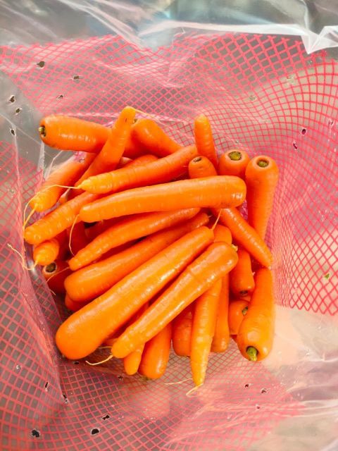 fresh high-quality carrots from Egypt for export all sizes - Image 3