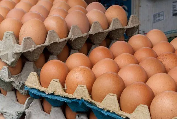 High Quality Fresh Fertile Table Eggs Brown and White Preserved Frozen Cooked High Protein 12trays*30eggs Chicken Eggs - Image 3