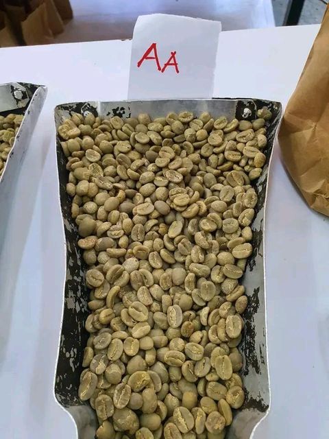 Wholesale and retail organic premium arabica coffee beans Type Washed Origin Tanzania Max. Moisture (%) >8% Species Coffee Arabica - Image 4