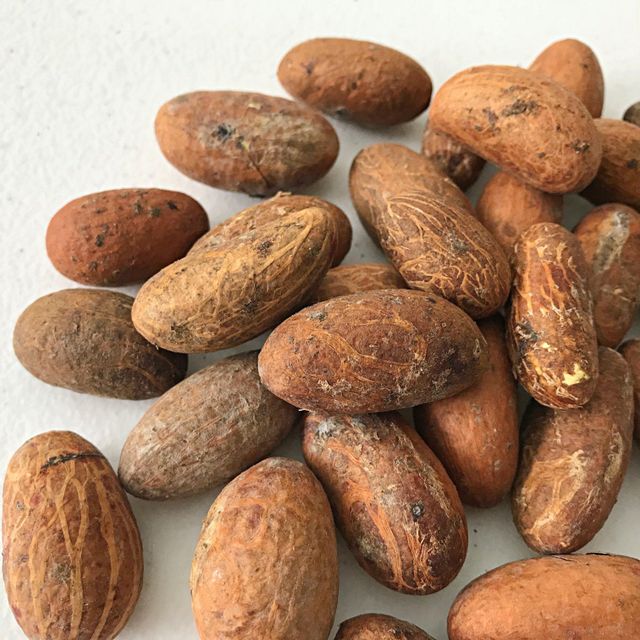 Top Grade BITTER KOLA Buy Direct from Yard Grade AA Shelf Life 6 Packaging 50KG Max. Moisture (%) 12 Cultivation Type - Image 3