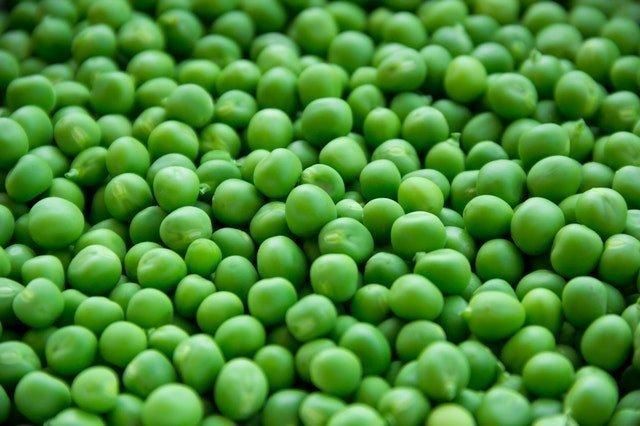 PIGEON PEAS - Image 1