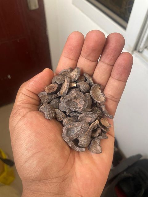 Palm kernel shells (PKS) - Image 1