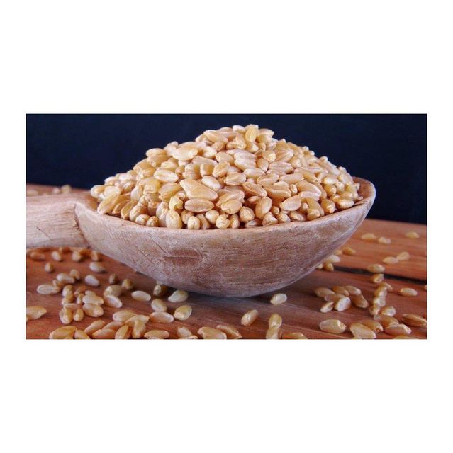 High grade durum wheat prepared for volume sourcing and reliable availability - Image 1