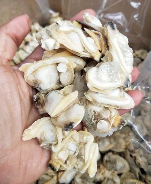 Fresh Short Necked Meat Frozen Baby Clams Shell On Style FROZEN Packaging Bag Brand Name MTH Address FUJIAN Ingredients - Image 6
