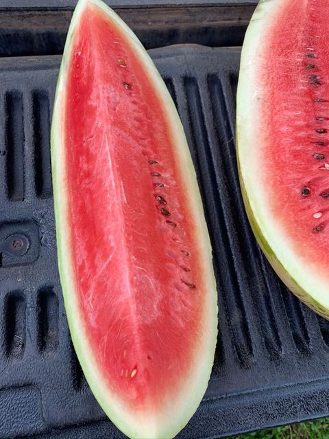 Premium Extra Sweet Fresh Seeded/seedless Watermelons - Image 2