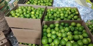 Fresh Lemon, Green Lime - Image 1
