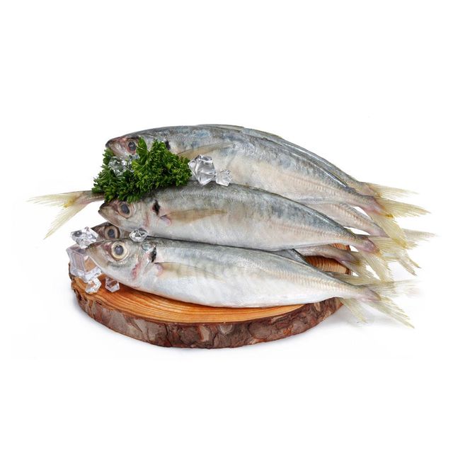 Frozen Tuna Fish Nutrient Rich Marine Product Featuring Carefully Preserved Freshness And Reliable Export - Image 4