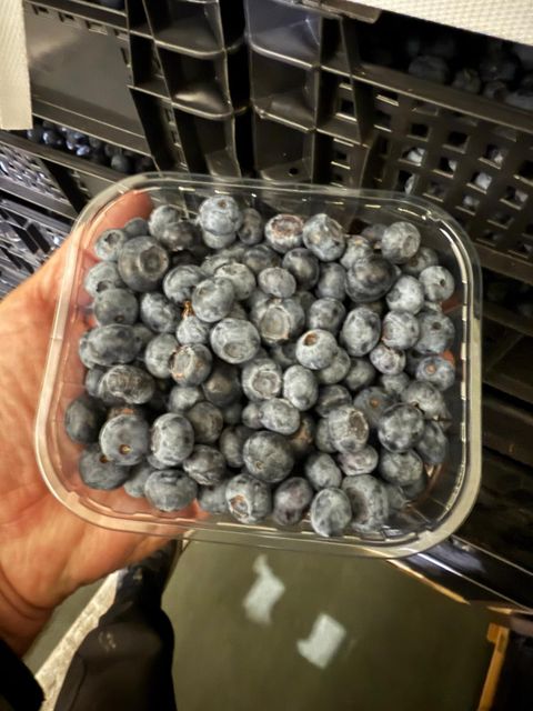 Poland Blueberry Origin Poland Organic No, Yes - Image 3