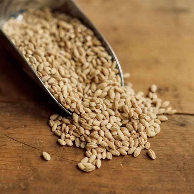 Grade Barley Grains Premium Barley Seeds/Animal Feed Barley/bulk Barley Grains Malted Barley Malt Grain for Sale - Image 5