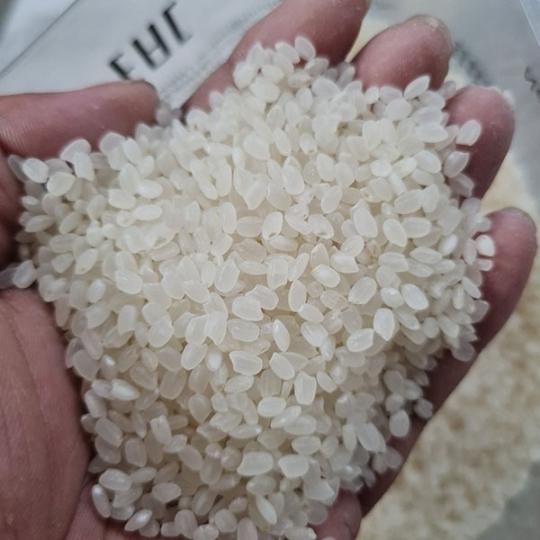 Jasmine rice 5% broken, Calrose rice 5% broken, Japonica rice 3% broken - Image 4
