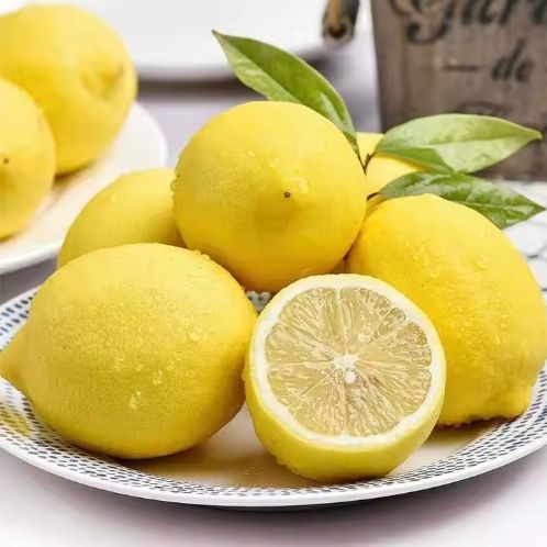 Lemon - Image 5