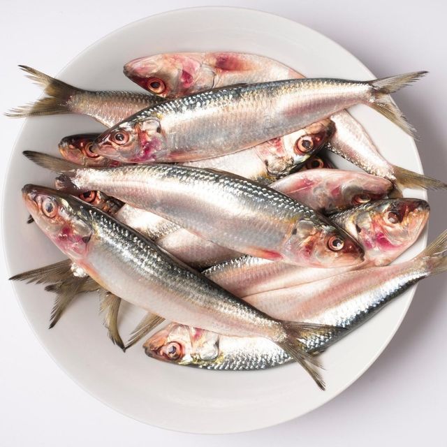 Frozen Sardine Fish Quality Assured Catch Processed Under Hygienic Conditions For Wholesale Seafood Buyers - Image 5