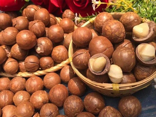 Premium Grade Vietnamese Raw Macadamia Nuts with shell - Raw/ Salted/ Roasted Macadamia Nuts good price ready for export - Image 4
