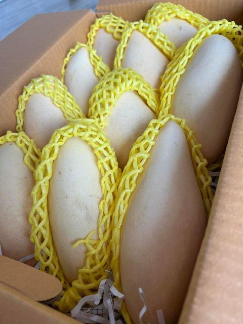 Fresh Mango - Nam Dok Mai from Thailand Grade A, B, SS Origin Thailand Packaging Carton Texture Fiberless Color Golden-yellow - Image 3