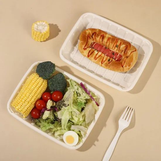 100% Compostable Disposable Cornstarch Tray Biodegradable Compostable Food Tray - Image 3
