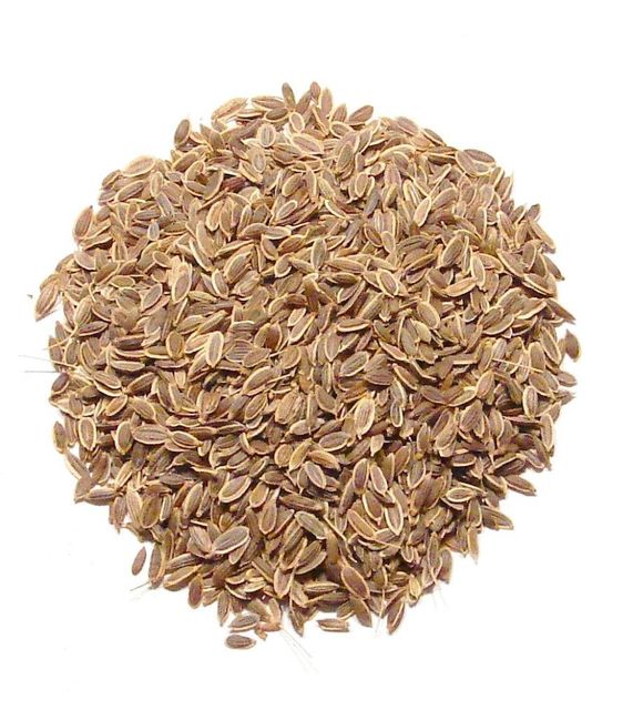 celery seed Origin INDIA Purity ≥ 98% Foreign Matter ≤ 1% Organic IPM Standard Freshness Level Fresh Form Whole Dried Seed - Image 1