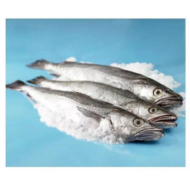 Manufacturer hot sale new product frozen hake fish fillet hake. - Image 2