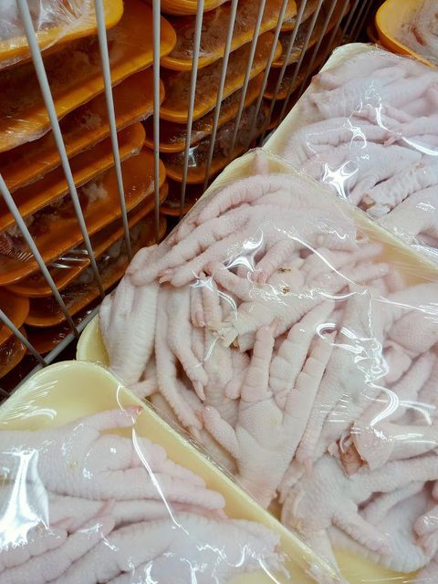 Premium Frozen Chicken Paws – Wholesale Bulk Supply for Export - Image 1