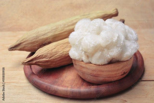 Kapok Fiber - Image 1