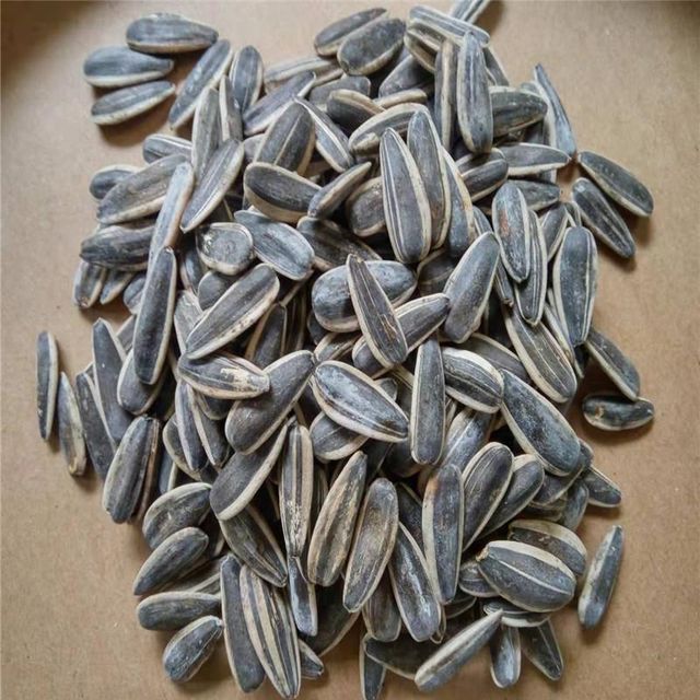 SUNFLOWER SEEDS - Image 4