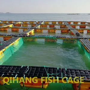 Carp Fish Farming, Catfish Farming Equipment for Sale - Image 4