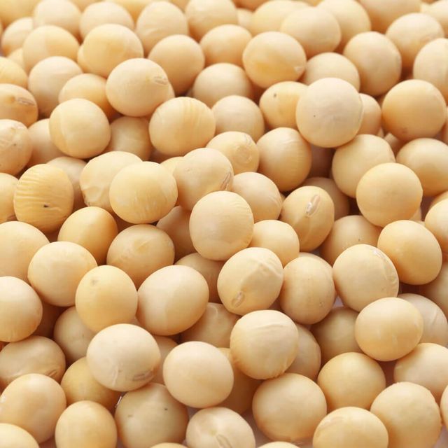 High Oil Soybean Seed Premium Quality Soybean Seed Ensuring Optimal Fat Content And Strong Germination Rate - Image 3