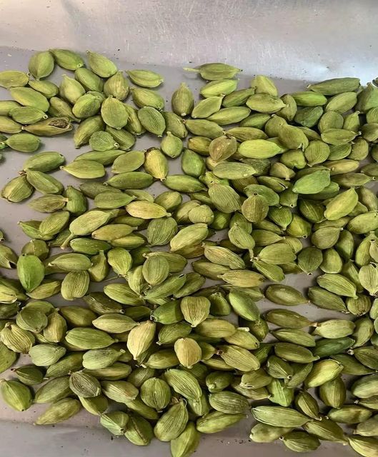 High Quality Wholesale Green Cardamom Supplier – Export Grade Handpicked Green Elaichi Pods with Intense Aroma, Rich Essential Oils, Natural Flavor, Food Grade Purity, Long Lasting Freshness for Culinary, Beverage, Medicinal and Industrial Applications Worldwide - Image 1