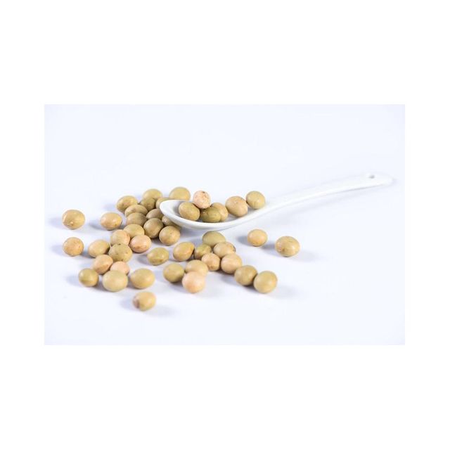 Premium GMO Soybeans frozenchickenexports.com - Image 3