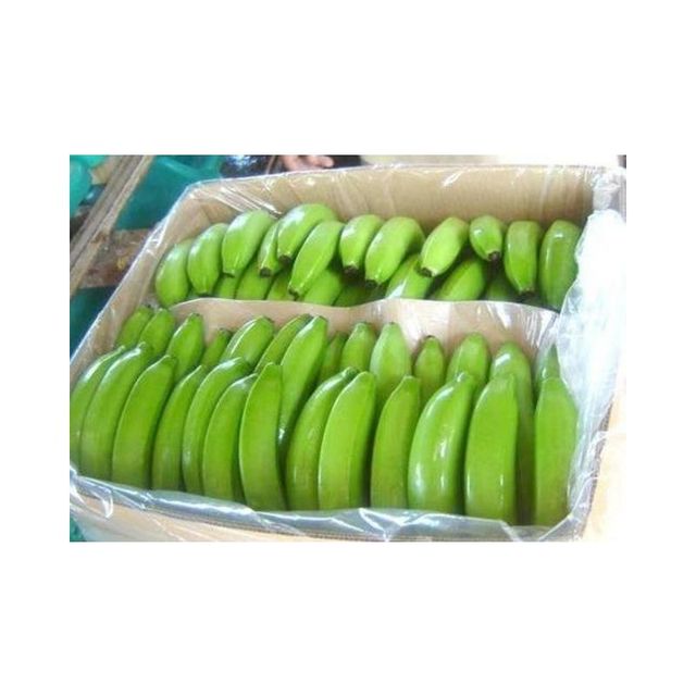 Fresh Green Cavendish Bananas Green Tanzania Banana Suppliers Tanzania Fresh Bananas for Export Fresh Frozen Fruit - Image 4