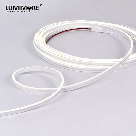 Ultra Mini 4mm LED Rope Lights Flat Shape Outdoor IP67 Size 12V Neon Flex Facade Lighting - Image 2