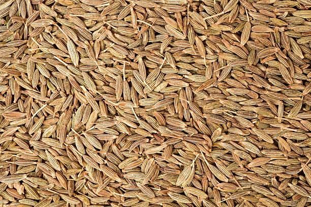CUMIN SEEDS  Whole Cumin  Jeera Zeera  Cumin (Whole) Jeera (जीरा)  Zeera Indian Cumin Seeds  White Cumin Seeds  Natural Cumin Seeds  Machine Cleaned Cumin  Sortex Cleaned Cumin  Premium Grade Cumin Seeds  Food Grade Cumin Seeds - Image 4
