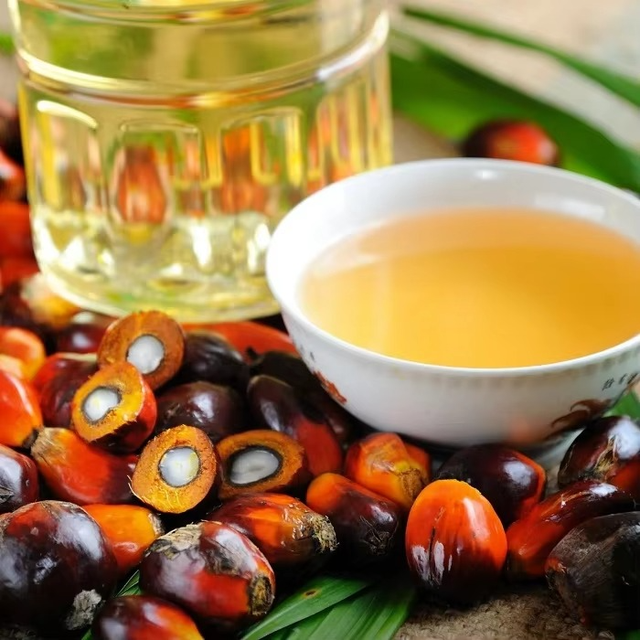 Export Source Delivers Refined Palm Oil With Clean Processing Methods And Flexible Packing - Image 2
