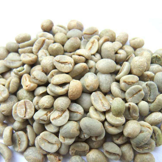 Premium coffee bean green product European Coffee Beans Green Control coffee beans - Vietnam roasted for importers companies - Image 3