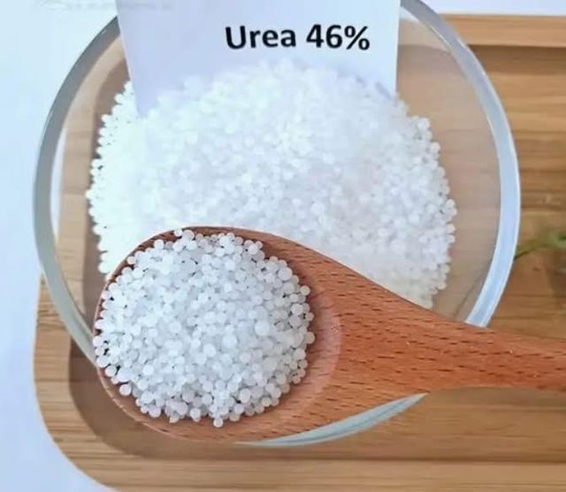 Agricultural Grade Urea 46% Nitrogen (Prilled & Granular) - Image 2