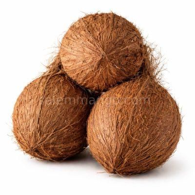 Premium Fresh Coconuts, Fresh Mature Whole Coconuts, Semi-Husked Mature Coconuts, Sun-Dried Copra, Desiccated Coconut, Virgin Coconut Oil, Value-Added Products - Image 3
