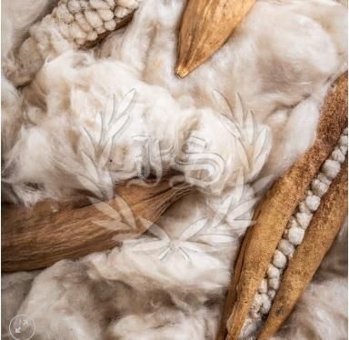 Kapok Fiber - Image 1