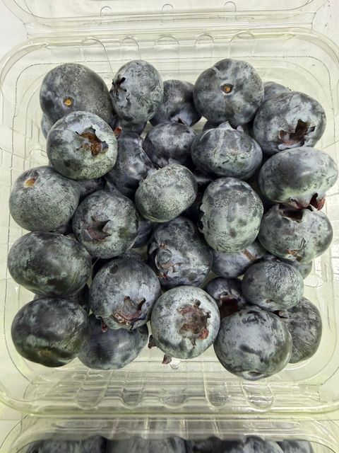 BLUEBERRIES FRESH Origin PERU - Image 4