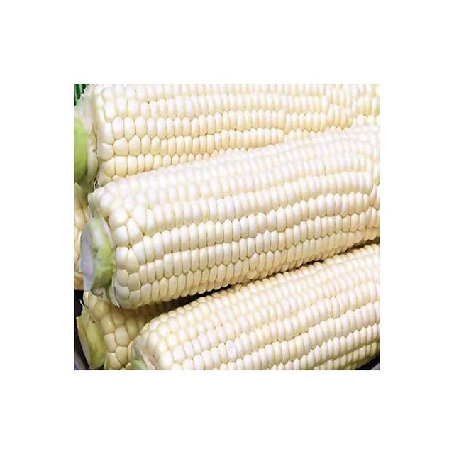 Agro Products Brazil frozenchickenexports.com - Image 3