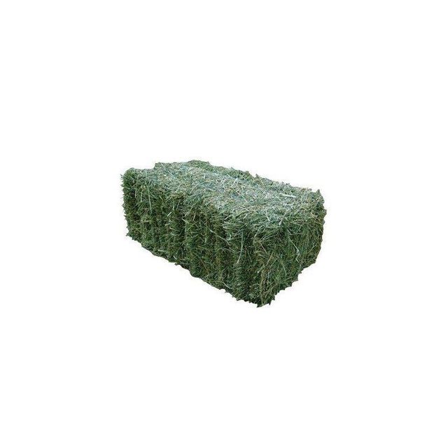 hay lucerne 1%max admixture feed 12x12x12 cube 450kg bales 25tons 15days lucerne hay - Image 3
