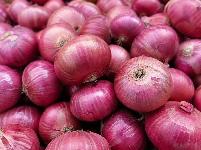 Long Shelf Life And Excellent Storage Characteristics Fresh Red Onions 10kg Export Bags On Sale - Image 4