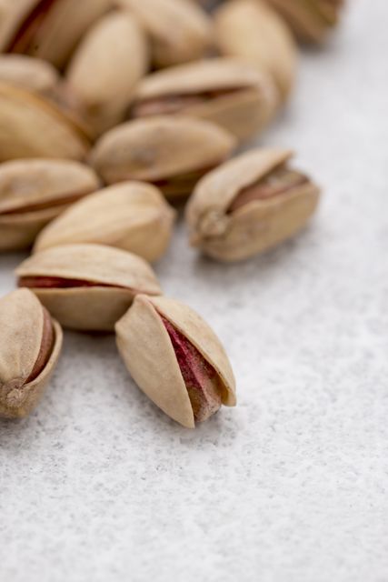 Iranian Pistachio Origin Iran Organic Yes Form Chopped, Sliced, Whole Degree of Processing Natural, Roasted, Unsalted - Image 5