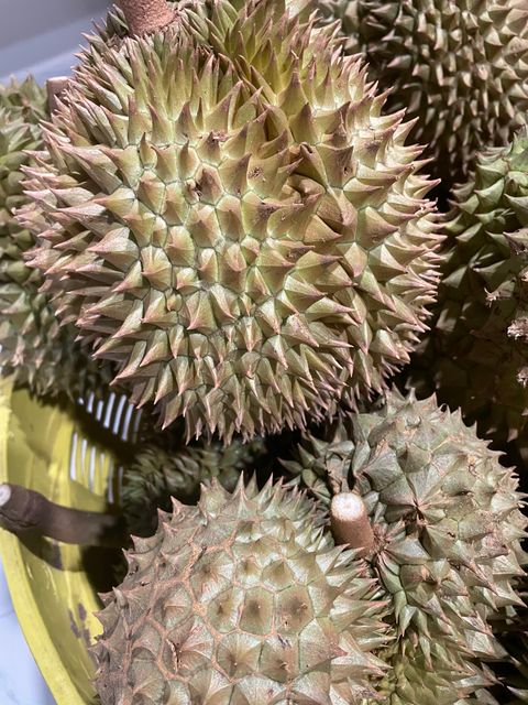 Whole Durian Mon Thong Premium Fresh Organic King of Fruits Original Taste From Thailand Rich & Creamy 3-4 PCS/BOX (Whole) - Image 4