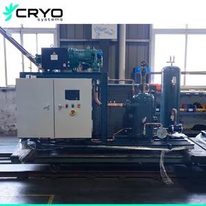 Split Condensing Unit Compressor Rack System Refrigeration Systems - Image 5