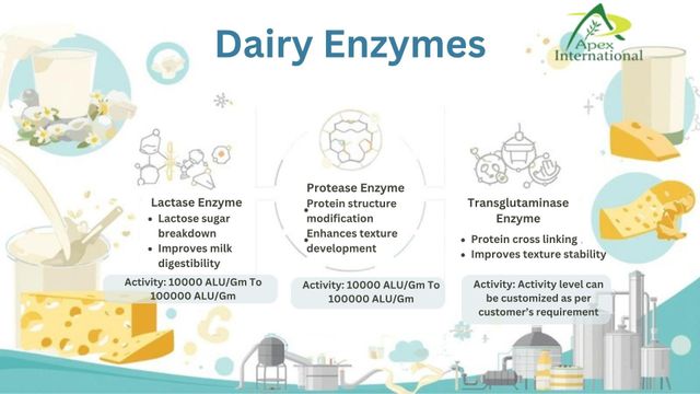 Lactase Enzyme, Lactase Enzyme For Dairy ,Enzyme For Dairy ,Dairy Lactase Enzyme, Dairy Lactase, Lactase, Dairy Enzyme ,  Enzyme , Lactase Enzyme Supplier From India. – product photo 4, product detail gallery