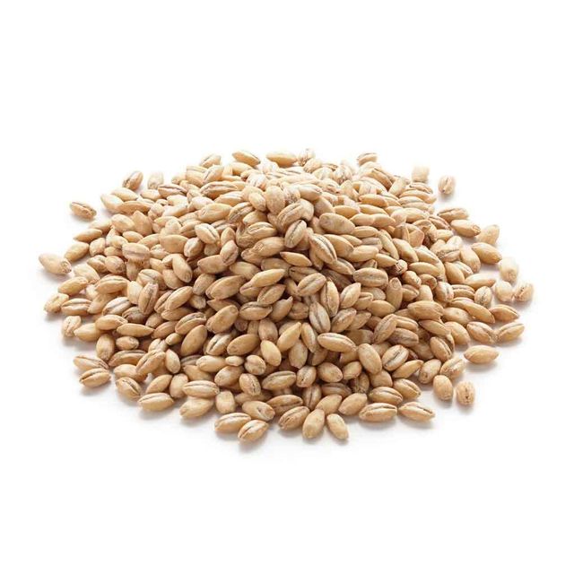 High Demand Barley Grain Bulk Quantity Clean Natural Product For Global Food Industry Buyers - Image 3