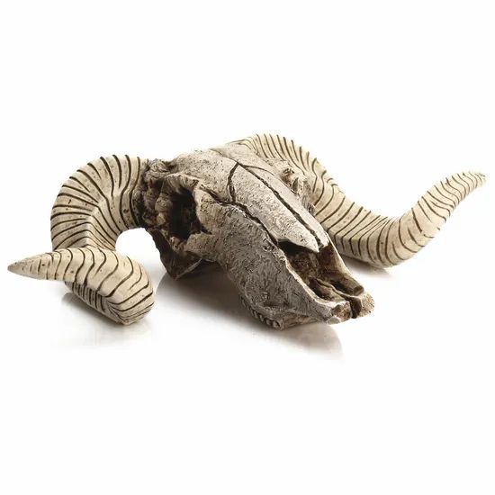 Antique Goat Head Skull Wall Hanging Sheep Head Skeleton Resin Crafts - Image 4